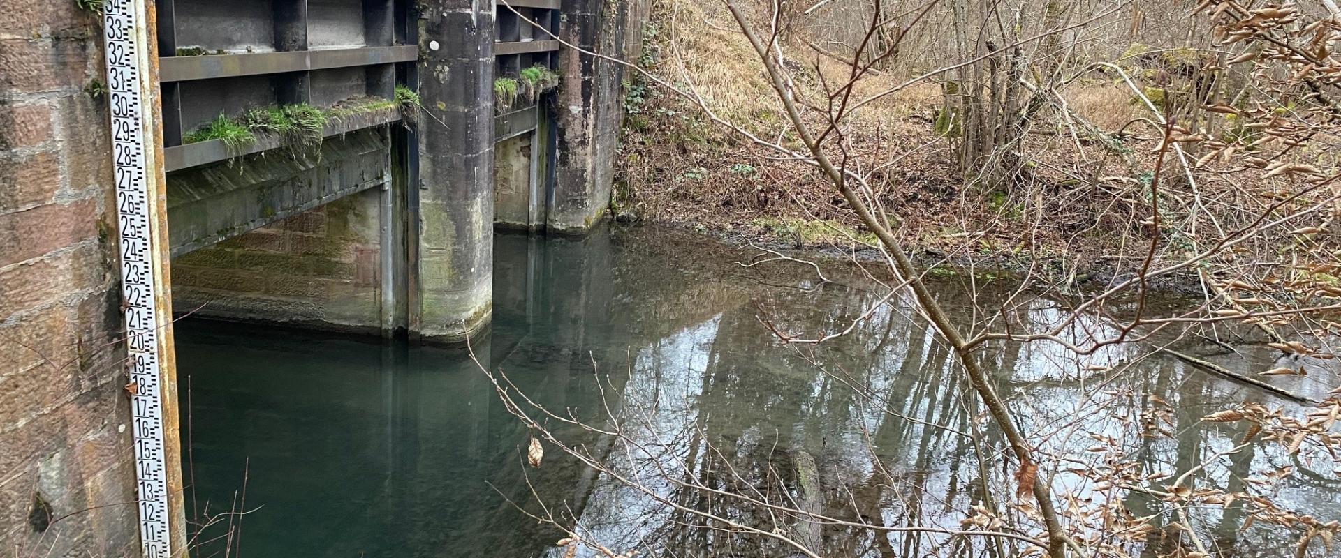 Zone Humide NE Bas-Rhin