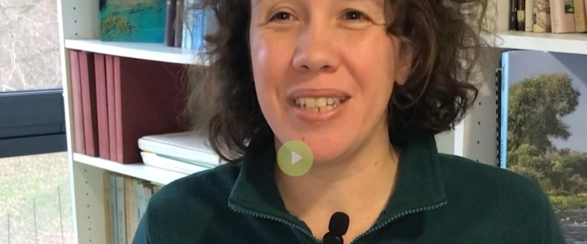 Cliquez pour voir les vidéos